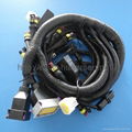 CNG wire harness 24Pin 2