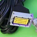 CNG wire harness 24Pin 3