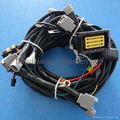 CNG ECU wire assembly 1.5