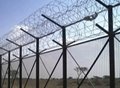 High security fencing - razor barbed wire on welded panels or chain link fence