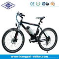 36V 8ah 350W En15194 Nice Look Electric Mountain Bike (HP-E010)