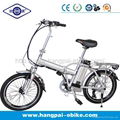 36V 10ah Folding Electric Bike with