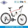 36V 8ah 350W Lithium Bicycle Electric