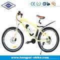 36V 8ah 250W Electric Bike (HP-E003) 1