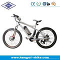 36V 8ah 250W Electric Bike (HP-E003) 2