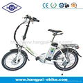 36V 10ah 250W Foldable Electric Bike for