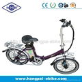 36V 10ah 250W Foldable Electric Bike for Sale (HP-E052) 3