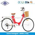 36V 250W Battery Charging Electric Bike