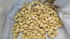 shelled peanut