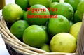 Supply Fresh Seedless Lime Green Good Brand For Best Price 1