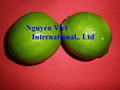 Supply Fresh Seedless Lime Green Good Brand For Best Price 2