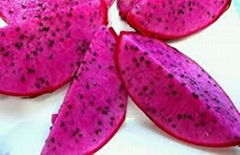 Supply Fresh Red - White Flesh Dragon Fruit