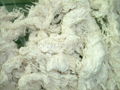 COTON WASTE