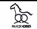 LangFang Pairs Horses Chemical Co.,Ltd