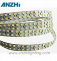 3528 Double Row LED Strip Light