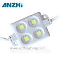 Advertisement LED Module Light Injection