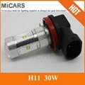 China Supplier High Power 30W H11 Auto LED Fog Lamp