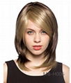 2014 new fashion women's long straight wig 2