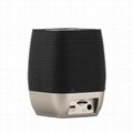 Bluetooth speaker 4