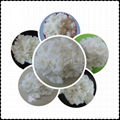 polyester staple fiber