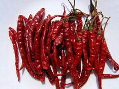 Chilies