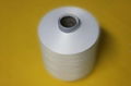 POLYESTER DTY 75D/36F NIM 