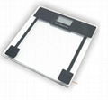 Glass Electronic Kitchen Scale