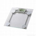 Glass Electronic Kitchen Scale 4