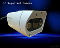 IP Megapixel Camera 1