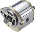 Hydraulic Gear Motor 1