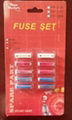 Eastern European Auto Fuse