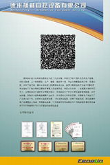 德州楓林自控設備有限責任公司