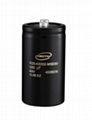 Aluminum Electrolytic Capacitors (FE20400332M5B0S1)