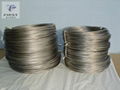 titanium wire 1