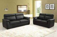 Buffalo leather Sofa 