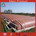 Industry Fue Application biogas plant to