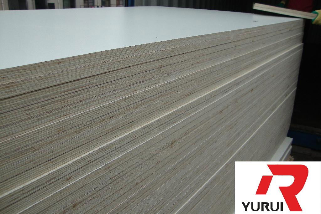 high pressure laminate /HPL 3