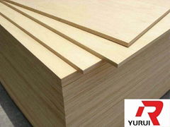 Linyi Plywood Birch/ Brich/