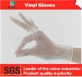 kitcthen clean pvc gloves dispoable