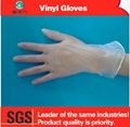 Chinese transparent PVC gloves wholesale 1