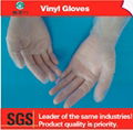 disposable examination pvc gloves 1