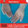 protecting pvc gloves