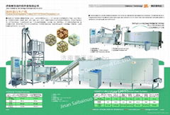 Textrue Soya Protein machine