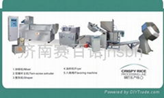 Crispy rice processing line