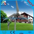 China Brand Wind Electrical wind