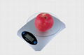 electronic kitchen scale 1