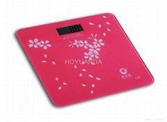 Electronic personal scale