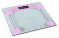 Electronic personal scale