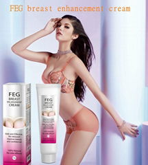 100% Herbal  FEG  bust enlargement cream, serum