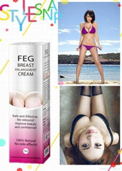 wholesale TOP Quality FEG breast enlargement cream